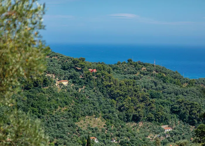 Casale Tra Gli Ulivi Diano San Pietro